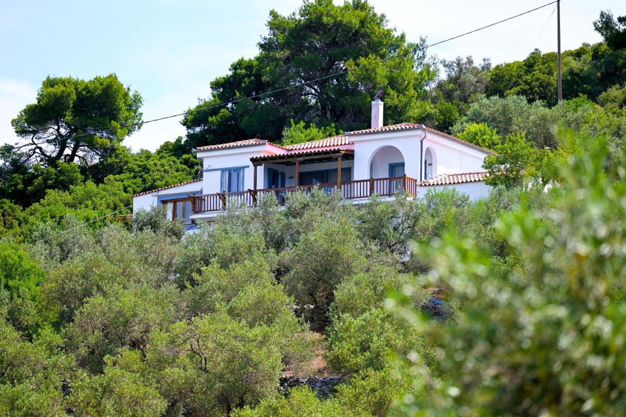 Villa Katerina Punta Esterno foto